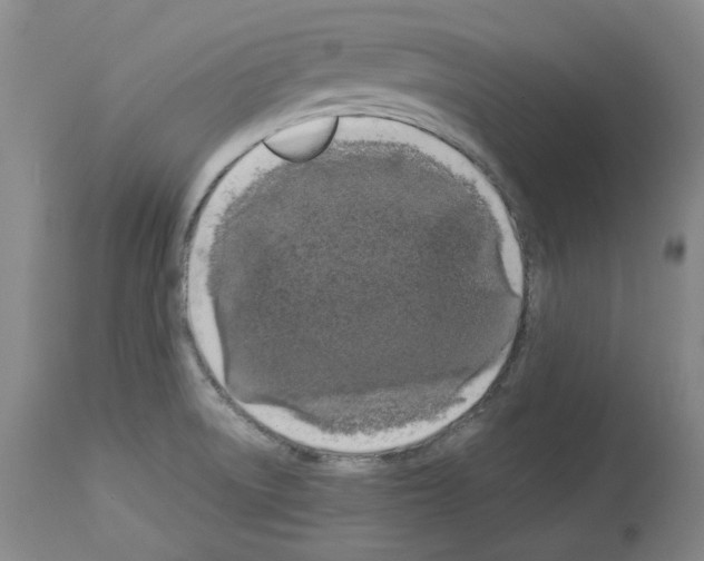 X0000113951522200911061252