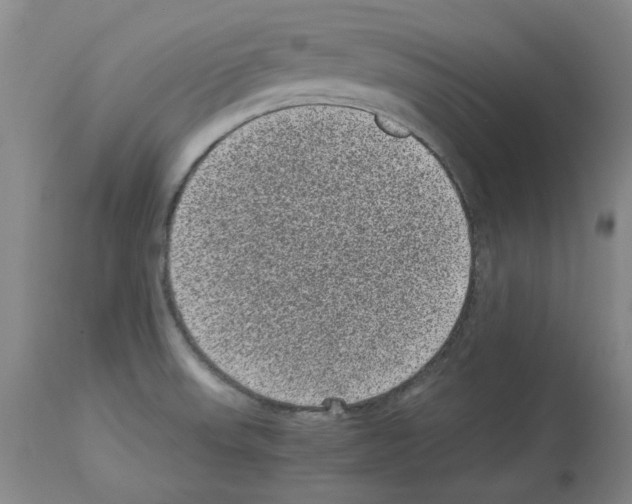 X0000113951523200911061252