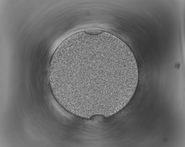 X0000113951524200911061252