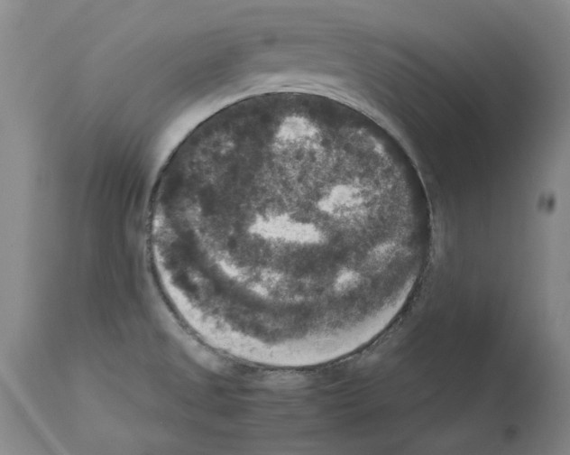 X0000113951525200911061252