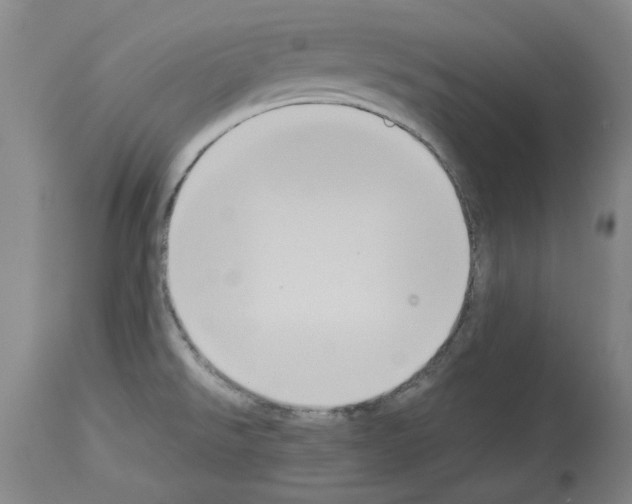 X0000113951526200911061252