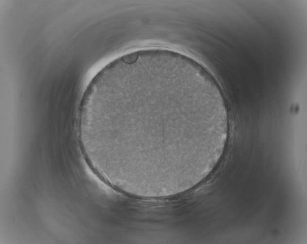 X0000113951527200911061252