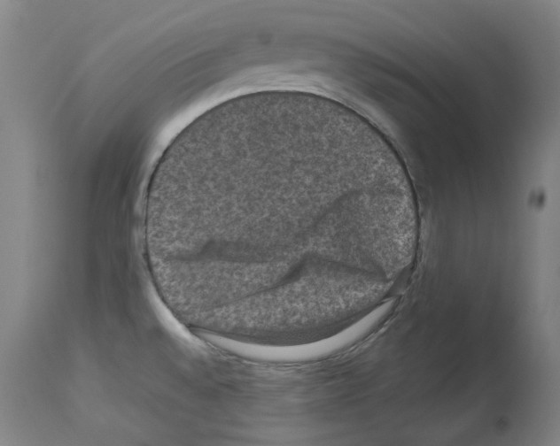 X0000113951528200911061252