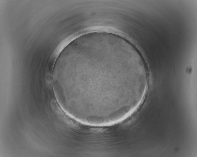 X0000113951529200911061252