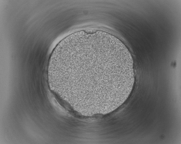 X0000113951530200911061252