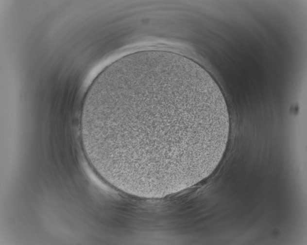X0000113951531200911061252