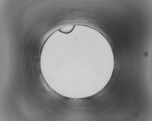 X0000113951534200911061252