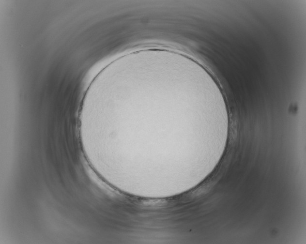 X0000113951535200911061252