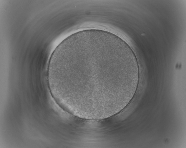 X0000113951536200911061252