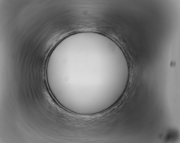 X0000113960002200909251038
