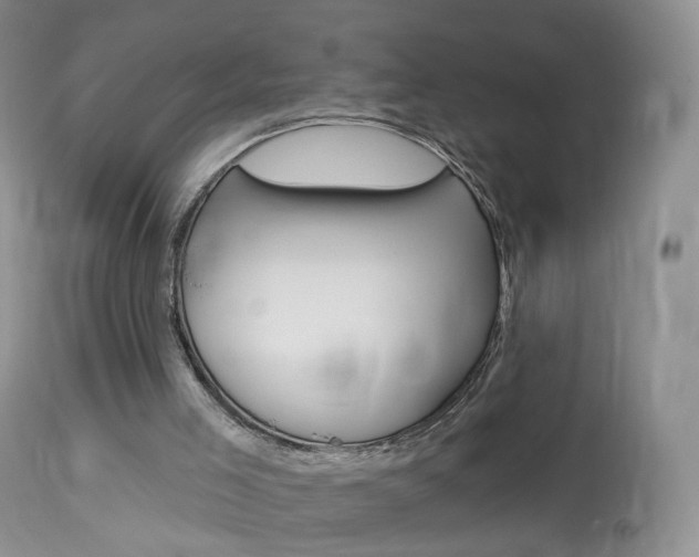 X0000113960005200909251038