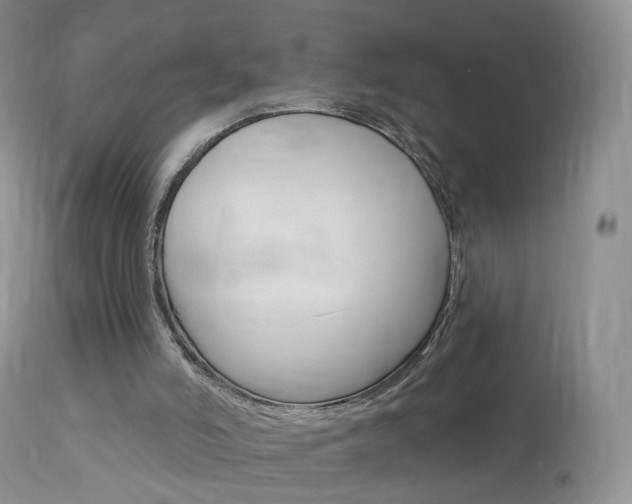 X0000113960006200909251038