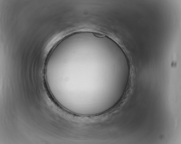 X0000113960007200909251038