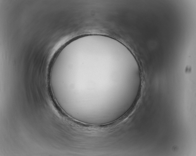 X0000113960008200909251037