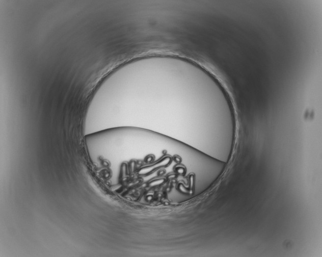 X0000113960009200909251037