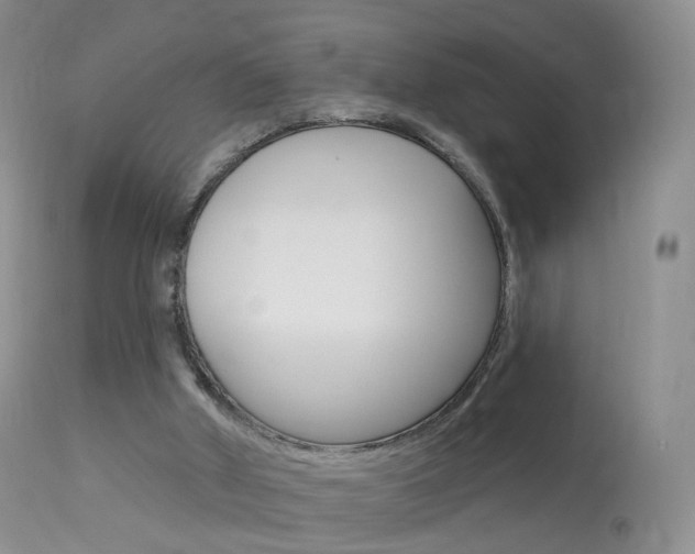 X0000113960010200909251037