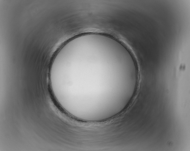 X0000113960011200909251037