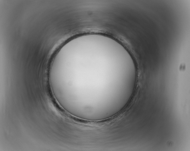 X0000113960012200909251037