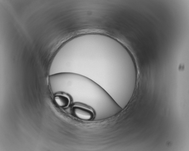 X0000113960013200909251037