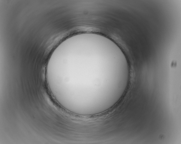 X0000113960014200909251037