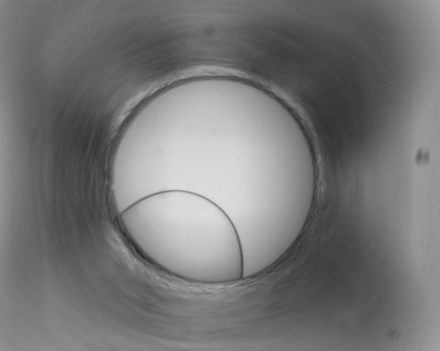 X0000113960015200909251037