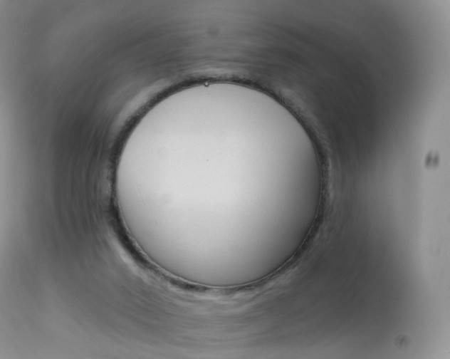 X0000113960016200909251037