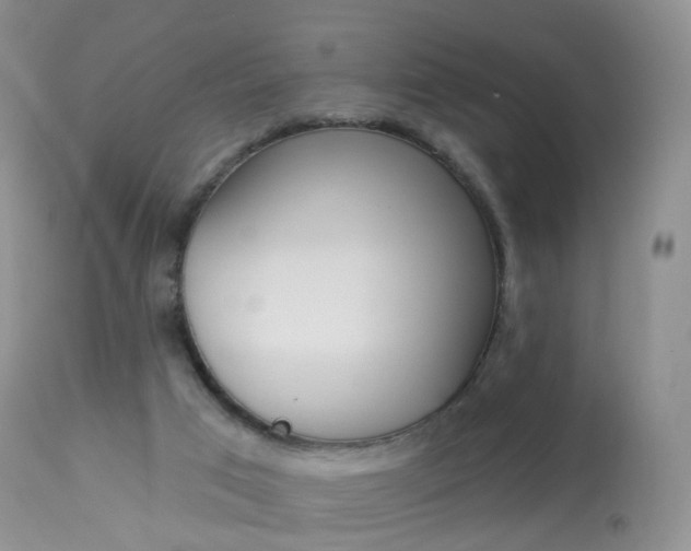 X0000113960017200909251037