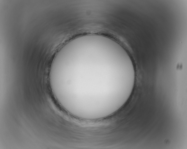 X0000113960018200909251037
