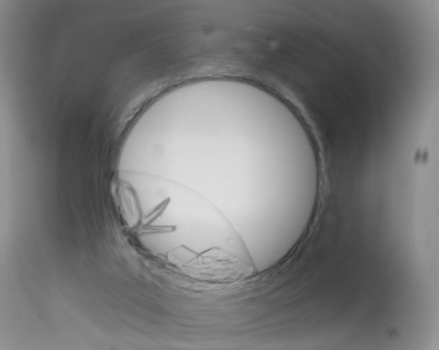X0000113960019200909251037