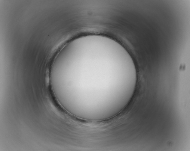 X0000113960020200909251037