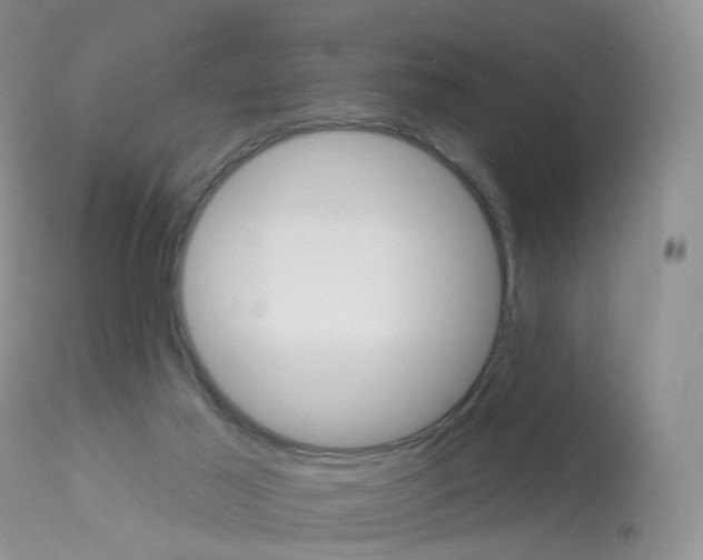 X0000113960021200909251037