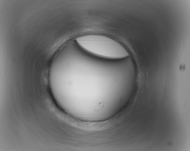 X0000113960023200909251037