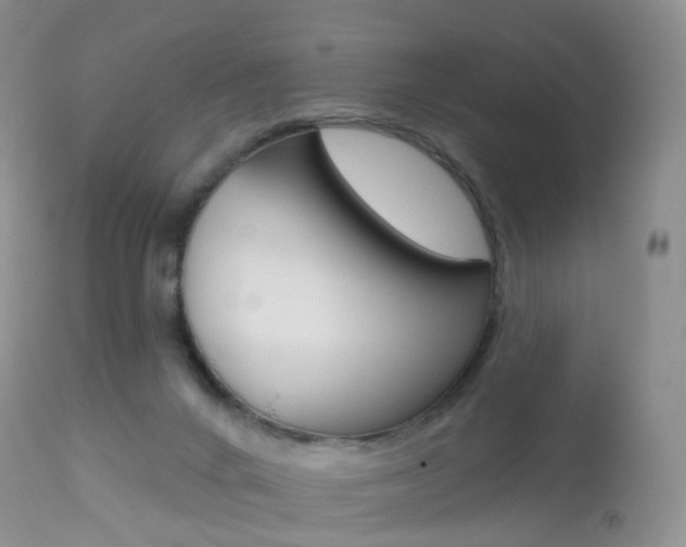 X0000113960024200909251037
