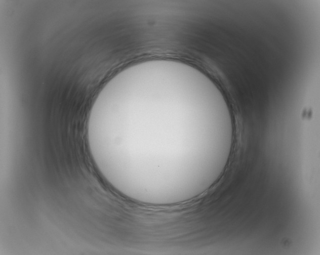 X0000113960025200909251037