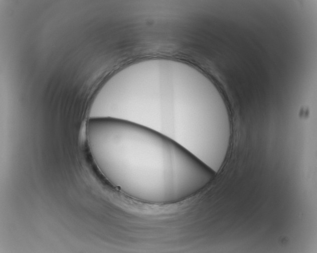 X0000113960027200909251037