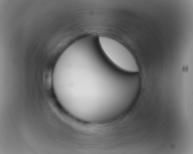 X0000113960028200909251037