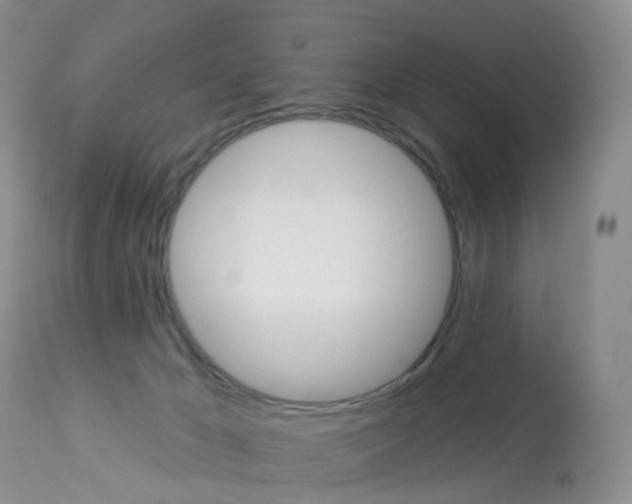 X0000113960029200909251037