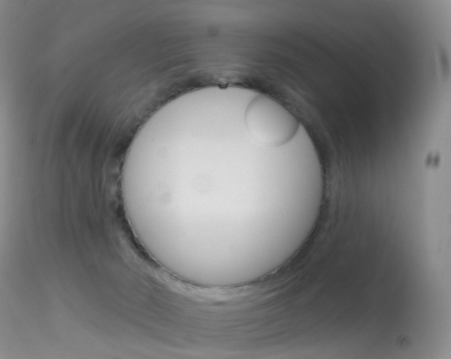 X0000113960030200909251037