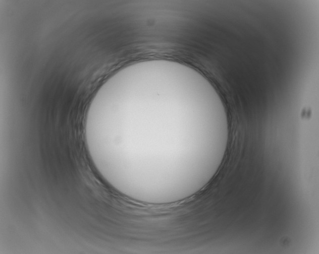 X0000113960031200909251037