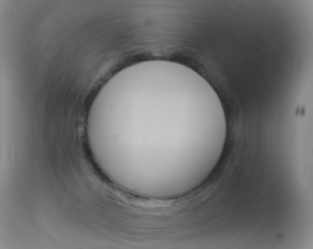 X0000113960032200909251037