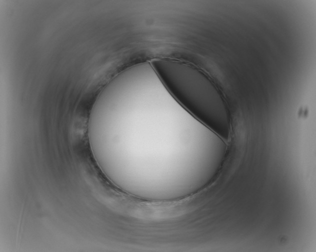 X0000113960033200909251037