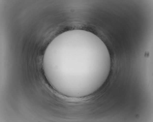 X0000113960034200909251037