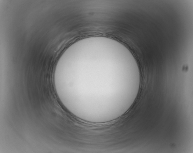 X0000113960035200909251037