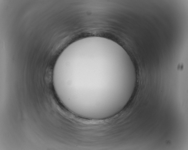 X0000113960036200909251037