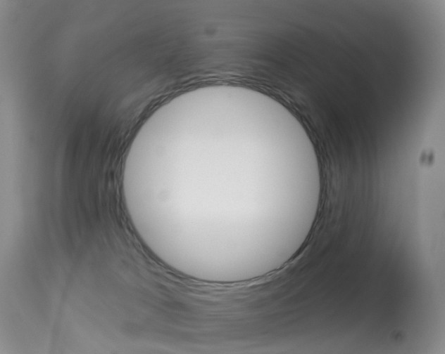 X0000113960037200909251037
