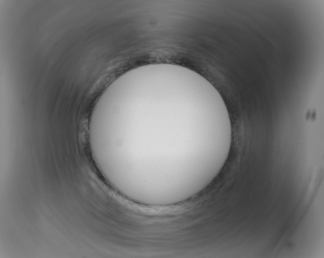 X0000113960038200909251037