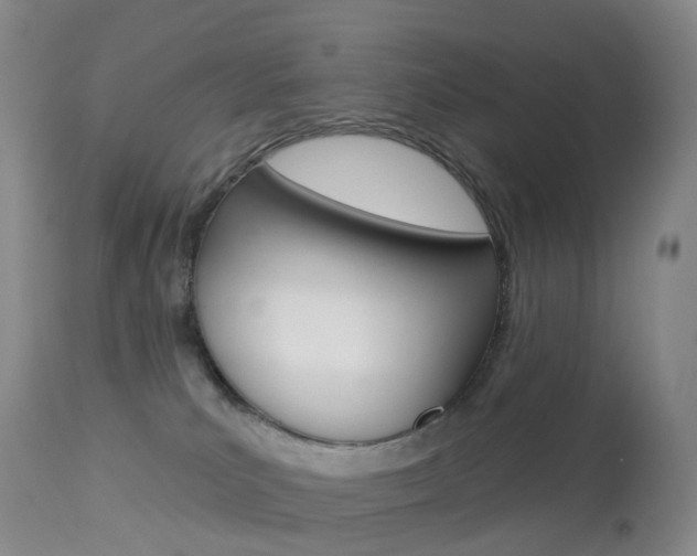 X0000113960039200909251037