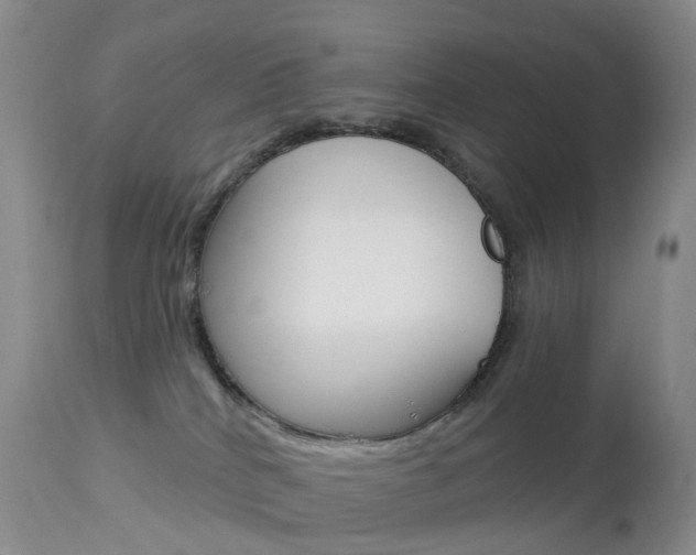 X0000113960040200909251037