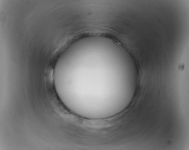 X0000113960041200909251037