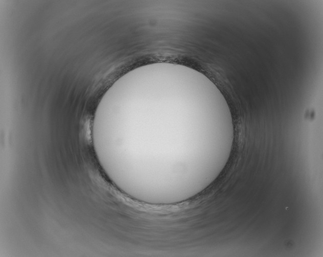 X0000113960042200909251037